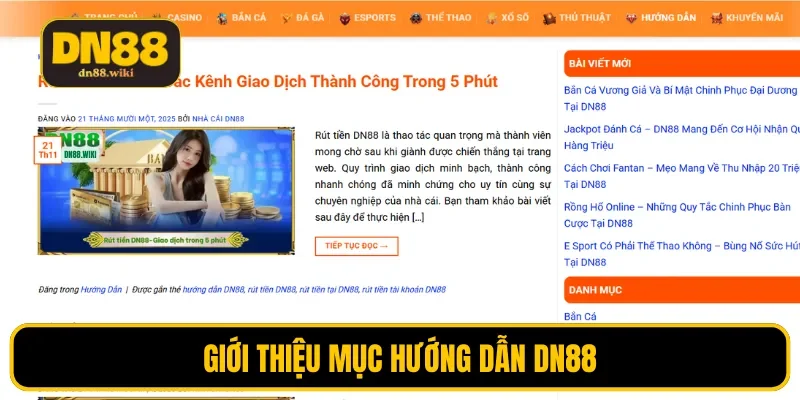 Giới thiệu mục hướng dẫn DN88